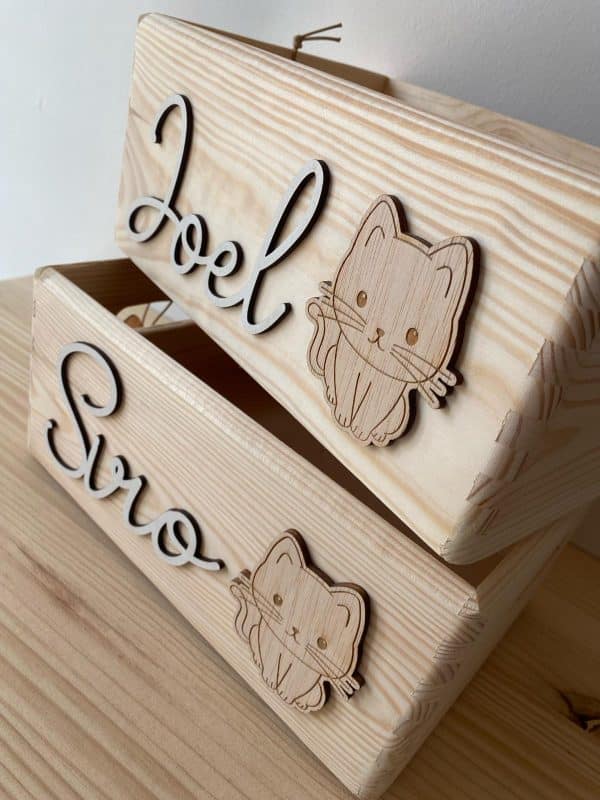 Caja gato